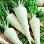 Настой из корня петрушки при аденоме простаты