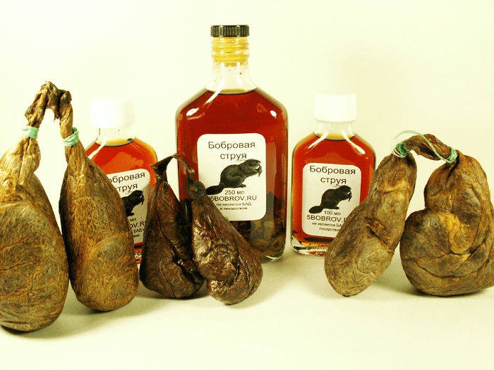 Бобровая струя Бобровая струя