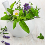 Подорожник: зеленый "пластырь"