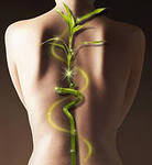 Лечимся по-китайски