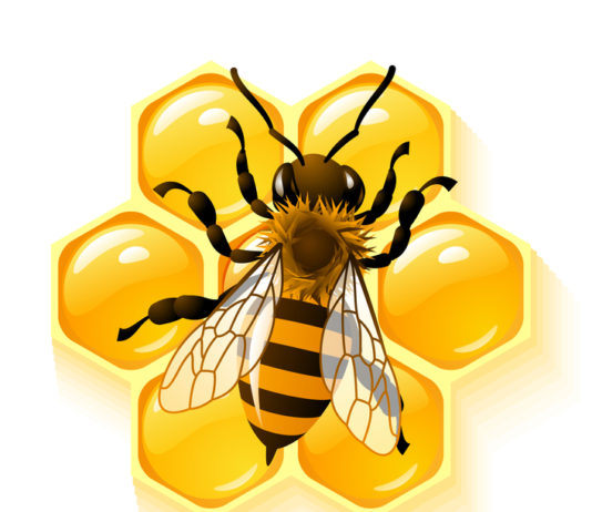 Полезная "пчелиная" смесь