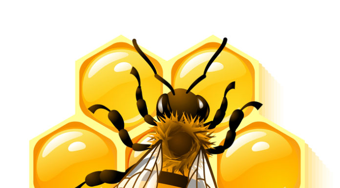 Полезная "пчелиная" смесь