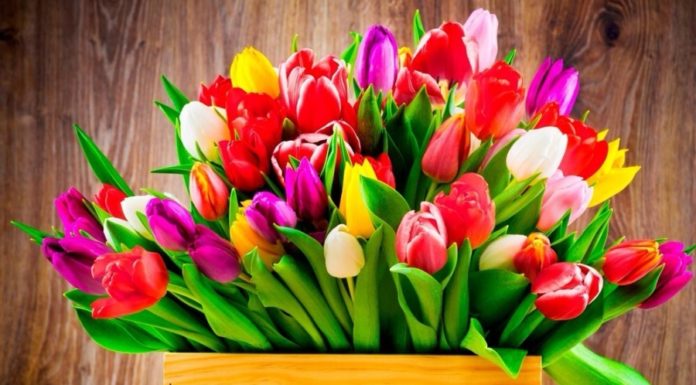 Подарки на 8 марта: баланс креатива и традиции