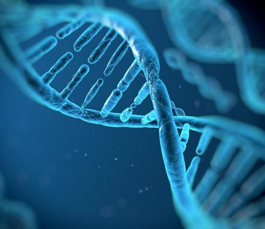 Лаборатория геномики микроорганизмов