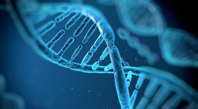 Лаборатория геномики микроорганизмов