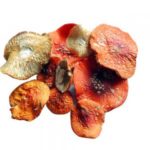 Мухомор красный и его лечебные свойства