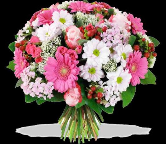 Каким должен быть букет из гербер?