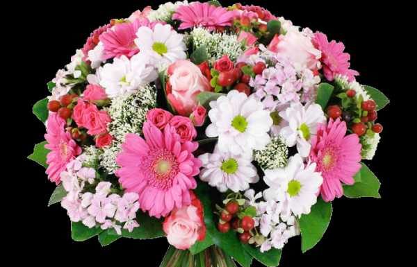 Каким должен быть букет из гербер?