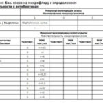 Бакпосев — специфика проведения исследования