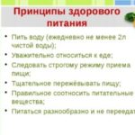 Здоровое питание: правила, основы, программы