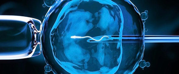 ЭКО — вспомогательная репродуктивная технология, применяемая при бесплодии