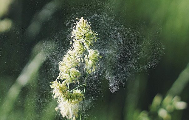 Аллергия у детей: симптомы и лечение