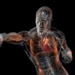 Болевые точки на теле человека: куда бить и нажимать