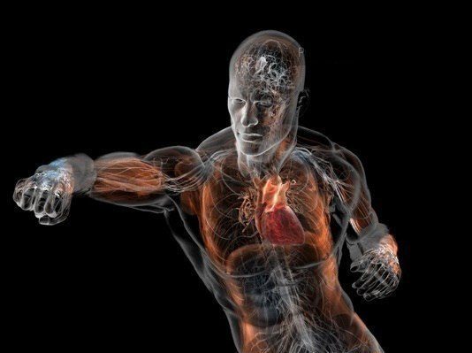 Болевые точки на теле человека: куда бить и нажимать