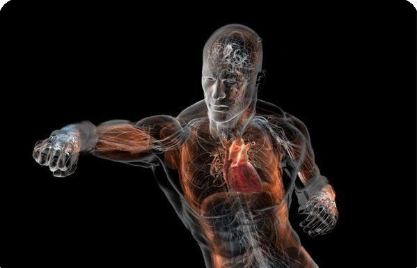 Болевые точки на теле человека: куда бить и нажимать