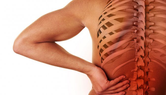 Профилактика и лечение остеохондроза позвоночника