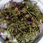 Какие травы подходят для лечения почек?