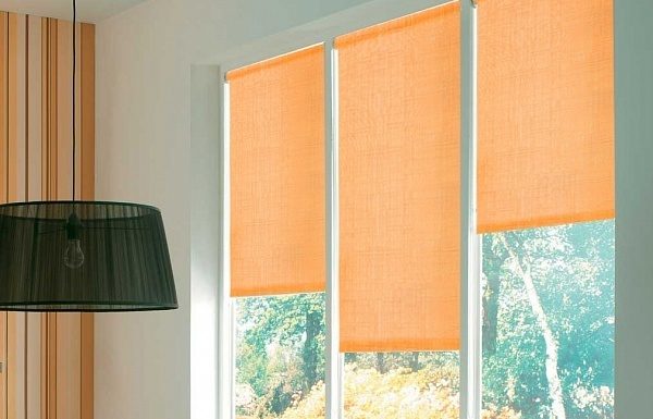 Зачем нужны тканевые ролеты на окнах?