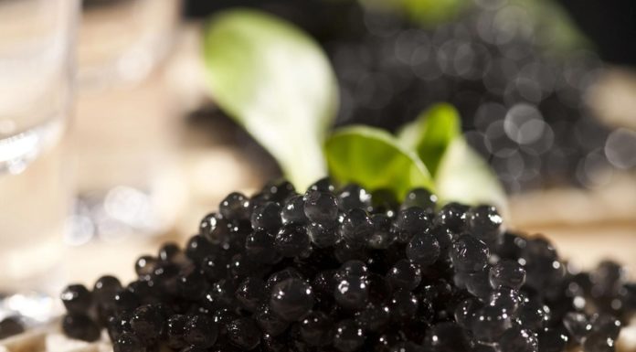 Что нужно знать покупая черную икру?