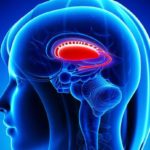 Из-за чего возникает заикание и как от него избавиться