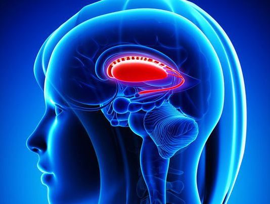 Из-за чего возникает заикание и как от него избавиться