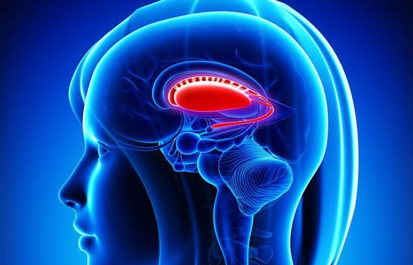 Из-за чего возникает заикание и как от него избавиться