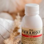 Эффективность Риванола при пролежнях