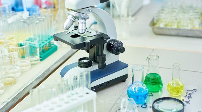 Какие бывают разновидности лабораторного оборудования