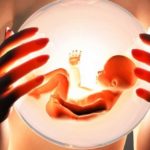 Донорство яйцеклеток: что должен знать донор?