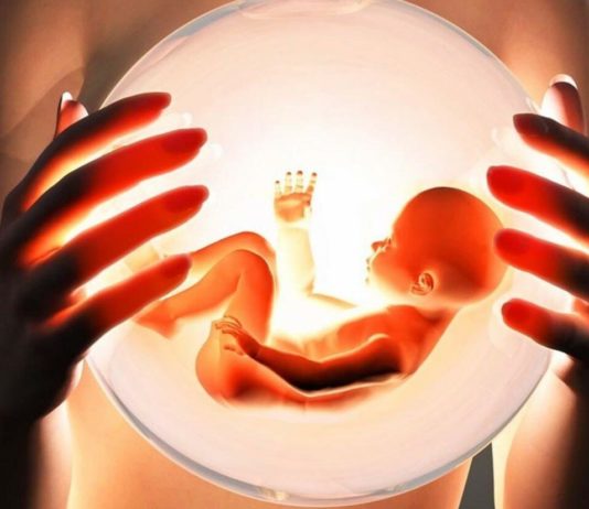 Донорство яйцеклеток: что должен знать донор?