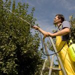 Выбираем опрыскиватель для сада