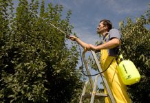 Выбираем опрыскиватель для сада