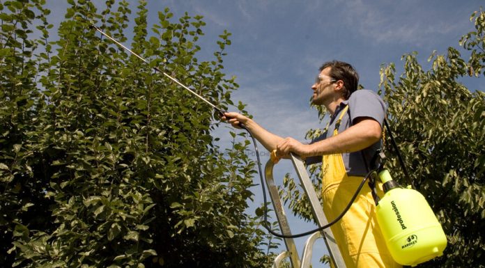 Выбираем опрыскиватель для сада