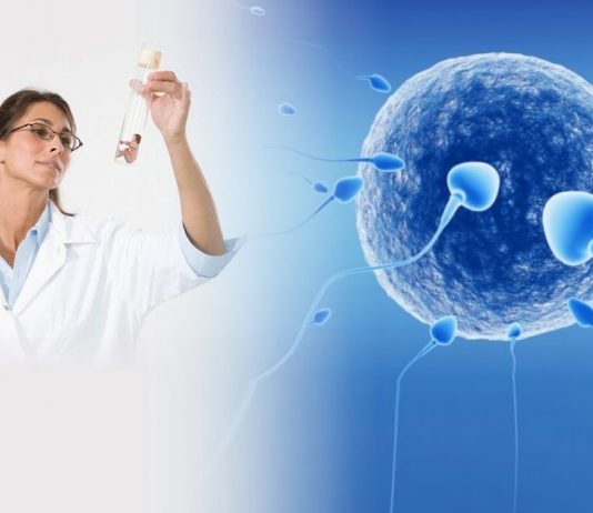 Современные возможности ЭКО