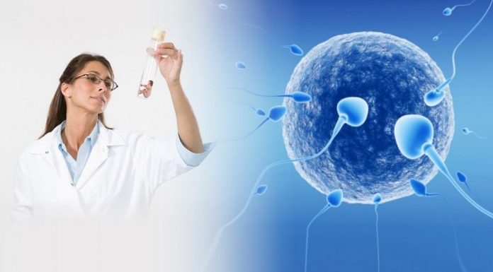 Современные возможности ЭКО