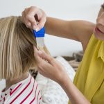 Почему у детей вши появляются чаще, чем у взрослых?