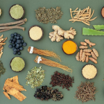 Что такое адаптогены и что нужно знать об их влиянии на организм