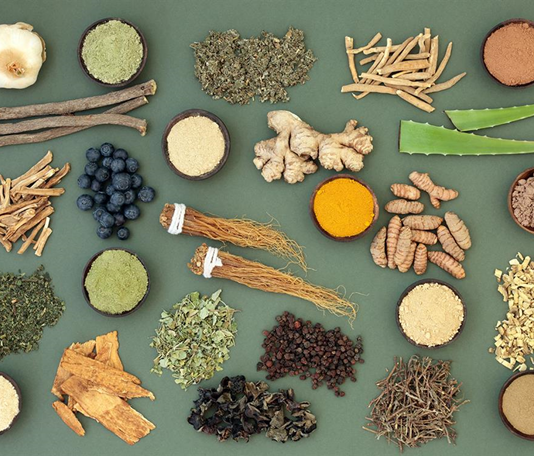 Что такое адаптогены и что нужно знать об их влиянии на организм