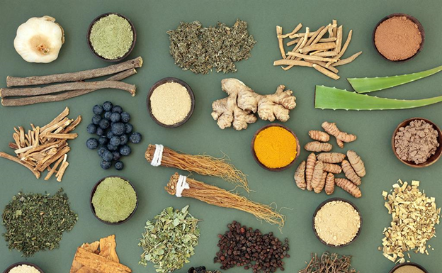 Что такое адаптогены и что нужно знать об их влиянии на организм