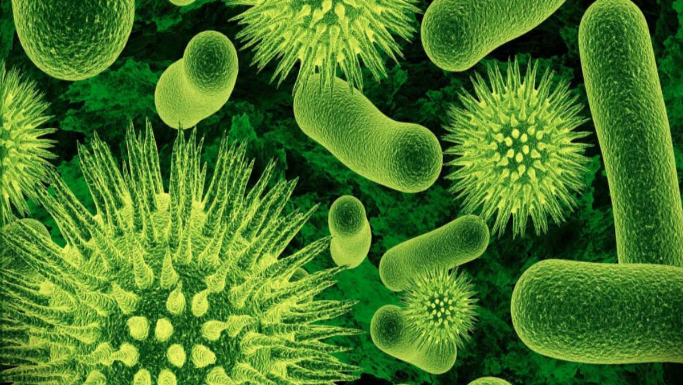 Как лечить бактериальные инфекции