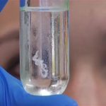 Методики выделения нуклеиновых кислот