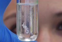 Методики выделения нуклеиновых кислот