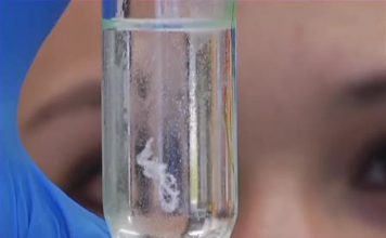 Методики выделения нуклеиновых кислот