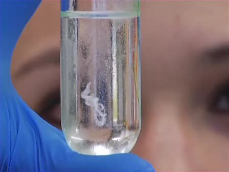 Методики выделения нуклеиновых кислот