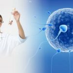 Как стать донором яйцеклеток?