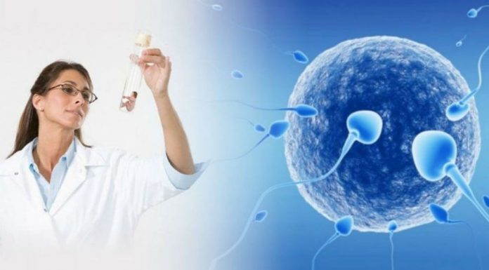 Как стать донором яйцеклеток?