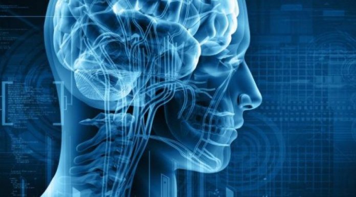 Можно ли вылечить рассеянный склероз?