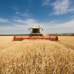 СОВРЕМЕННЫЕ ВОЗМОЖНОСТИ В ЗЕРНОПЕРЕРАБОТКЕ