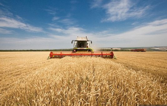 СОВРЕМЕННЫЕ ВОЗМОЖНОСТИ В ЗЕРНОПЕРЕРАБОТКЕ