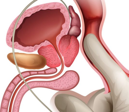 Как проверяют предстательную железу на УЗИ?